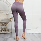 Seamless High Waist Gym Fitness Leggings